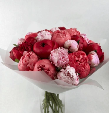 Огромный букет пионов