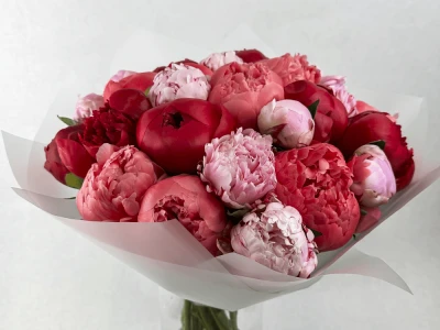 Огромный букет пионов