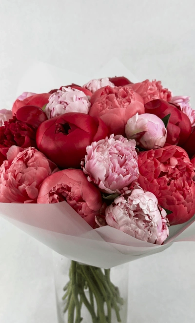 Огромный букет пионов