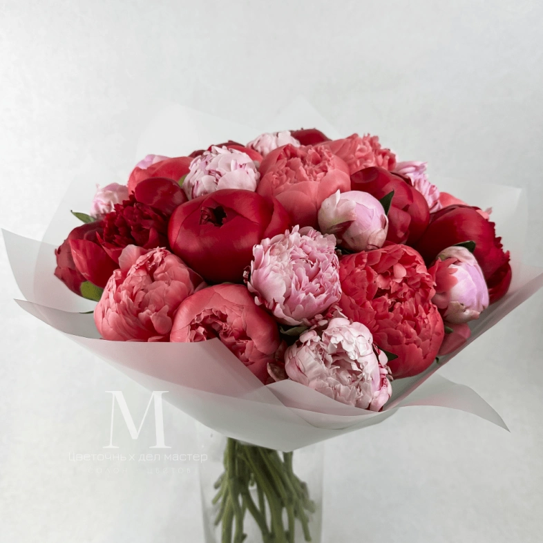 Огромный букет пионов