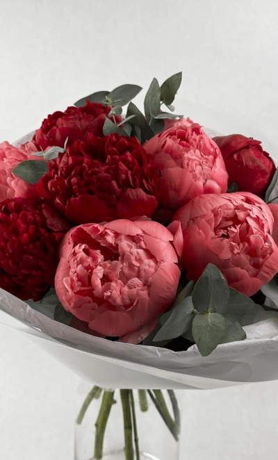 Моно из пионов «Бордо»