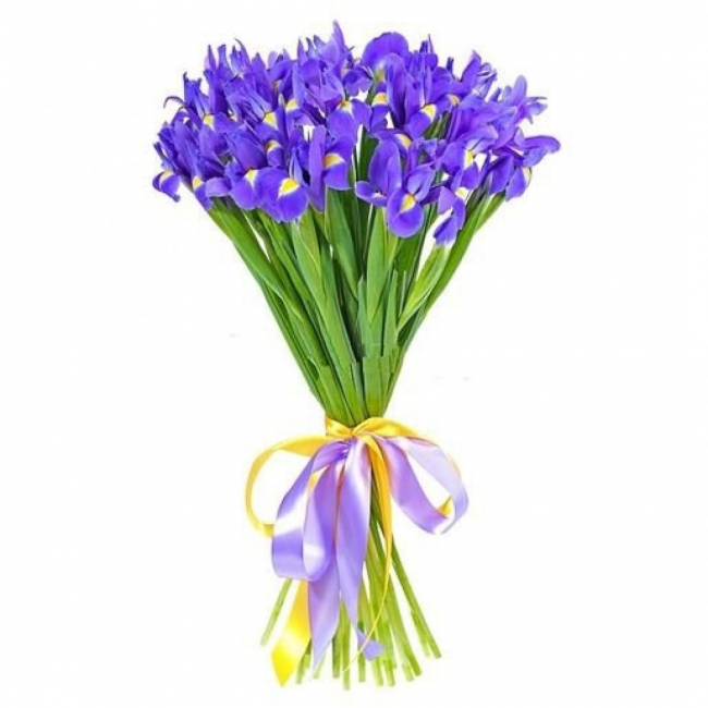 Букет «25 синих ирисов» от «Цветочных дел Мастер»