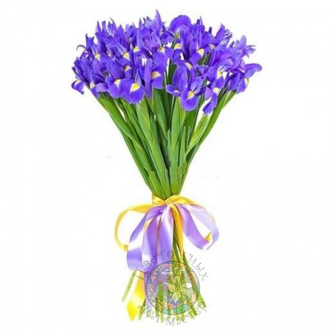Букет «25 синих ирисов» от интернет-магазина «Цветочных дел Мастер»