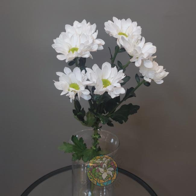 Хризантема ромашка белая от интернет-магазина «Цветочных дел Мастер»