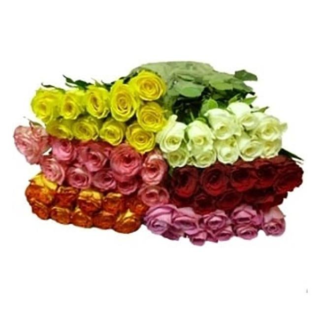 Роза Кения 50 см от интернет-магазина «Цветочных дел Мастер»