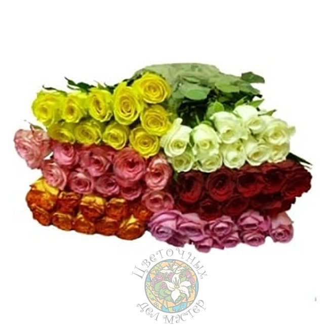 Роза Кения 50 см от «Цветочных дел Мастер»
