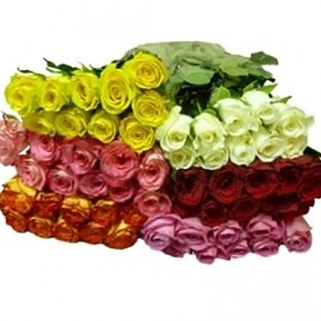 Роза Кения 50 см от «Цветочных дел Мастер»