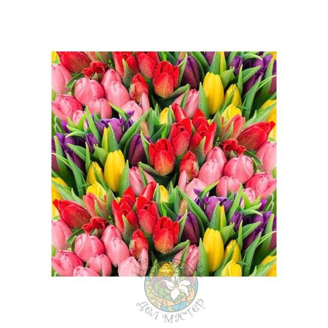 Тюльпаны в ассортименте от интернет-магазина «Цветочных дел Мастер»