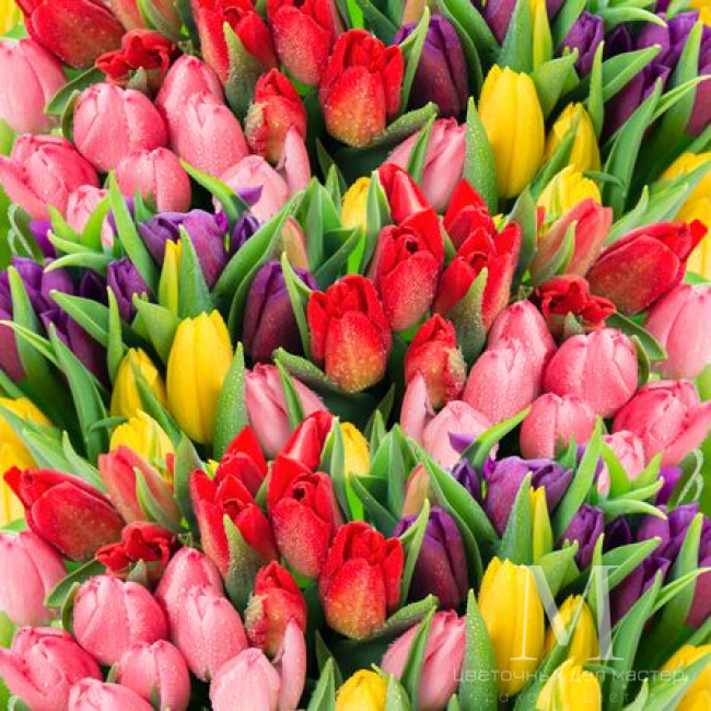 Тюльпаны в ассортименте от «Цветочных дел Мастер»