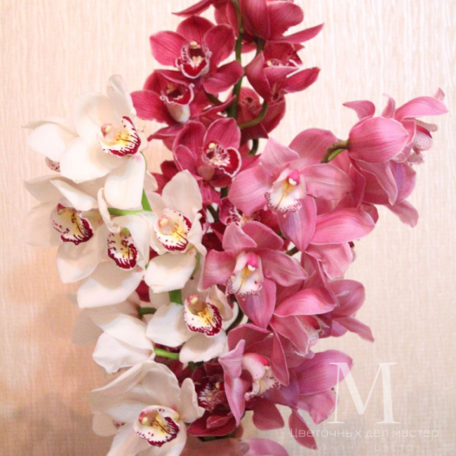 Букет «Орхидеи» от «Цветочных дел Мастер»