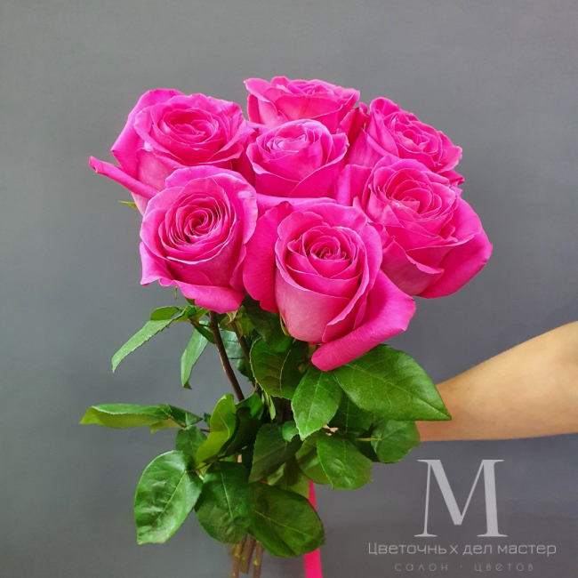 Роза «Пинкфлойд 7 шт» от «Цветочных дел Мастер»