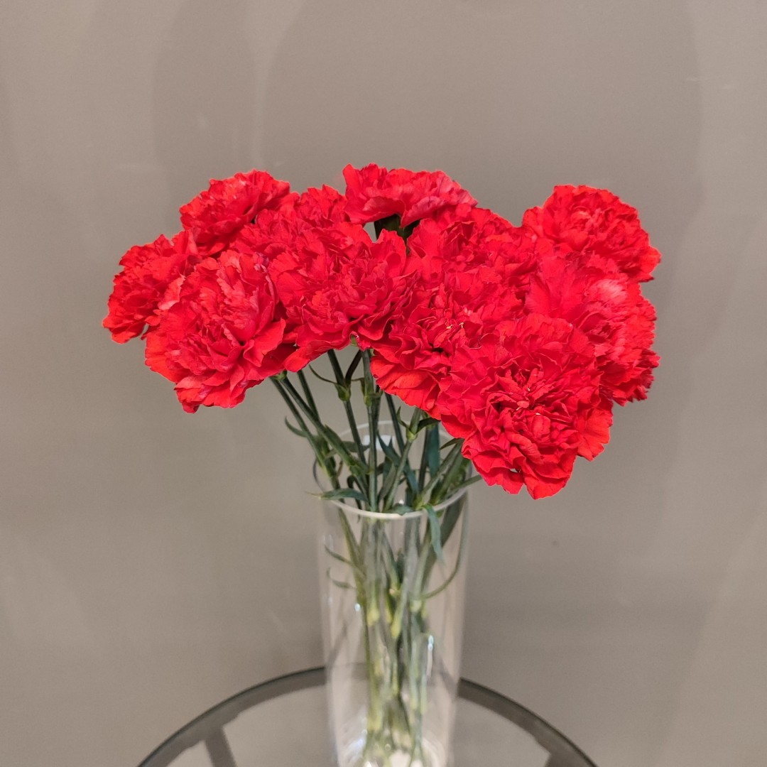 Букет гвоздик «Память»