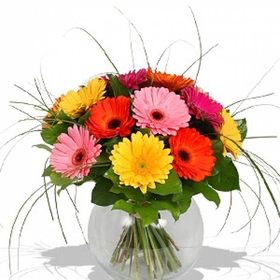 Букет «Пышные герберы»