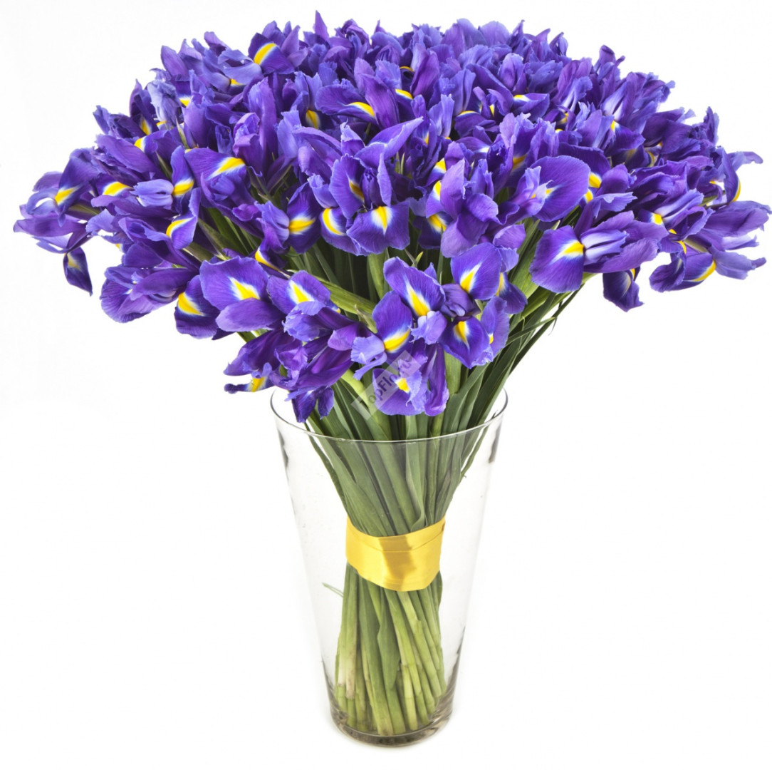 Букет «Пышный ирис!»