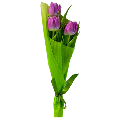 Букет «3 тюльпана»