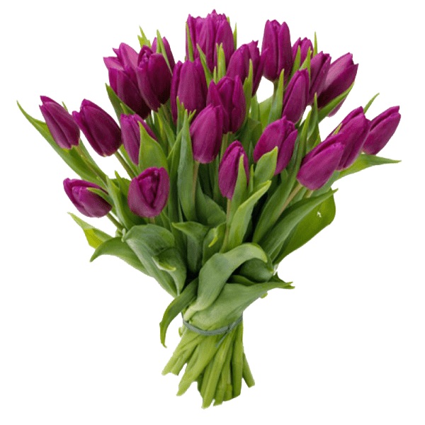 Букет «Здравствуй»