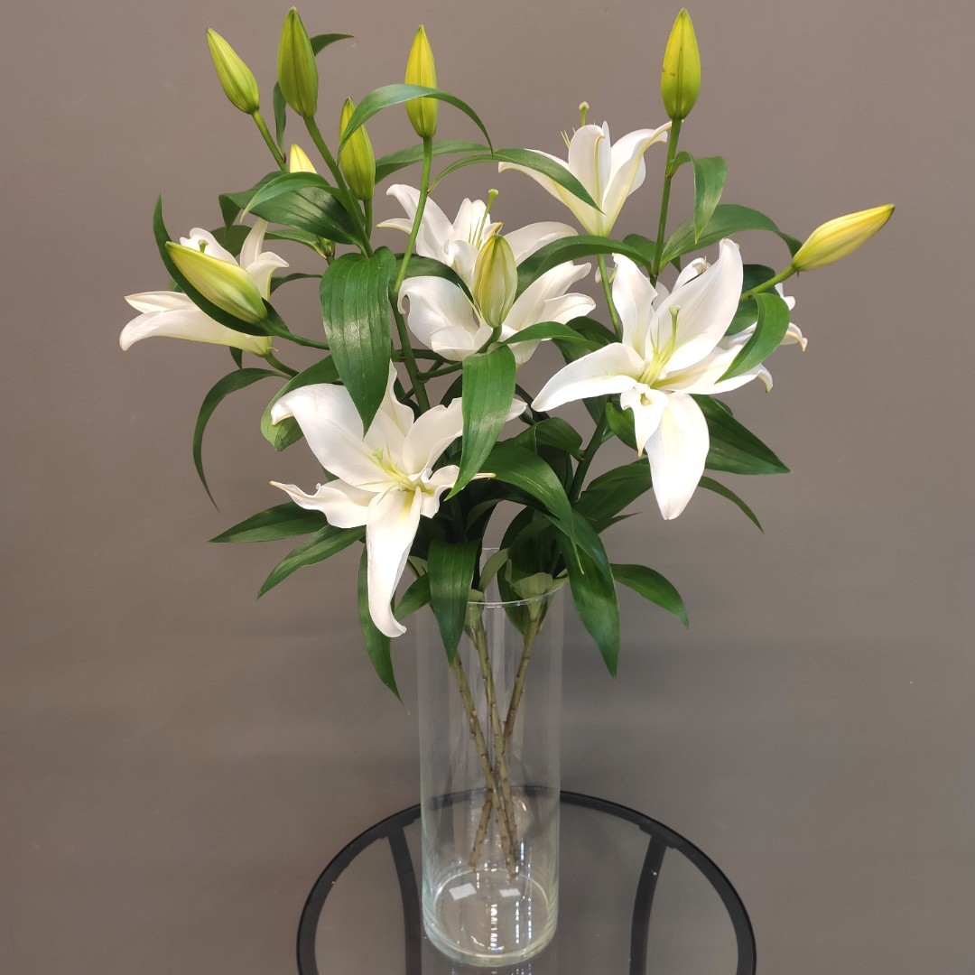 Монобукет «3 лилии»