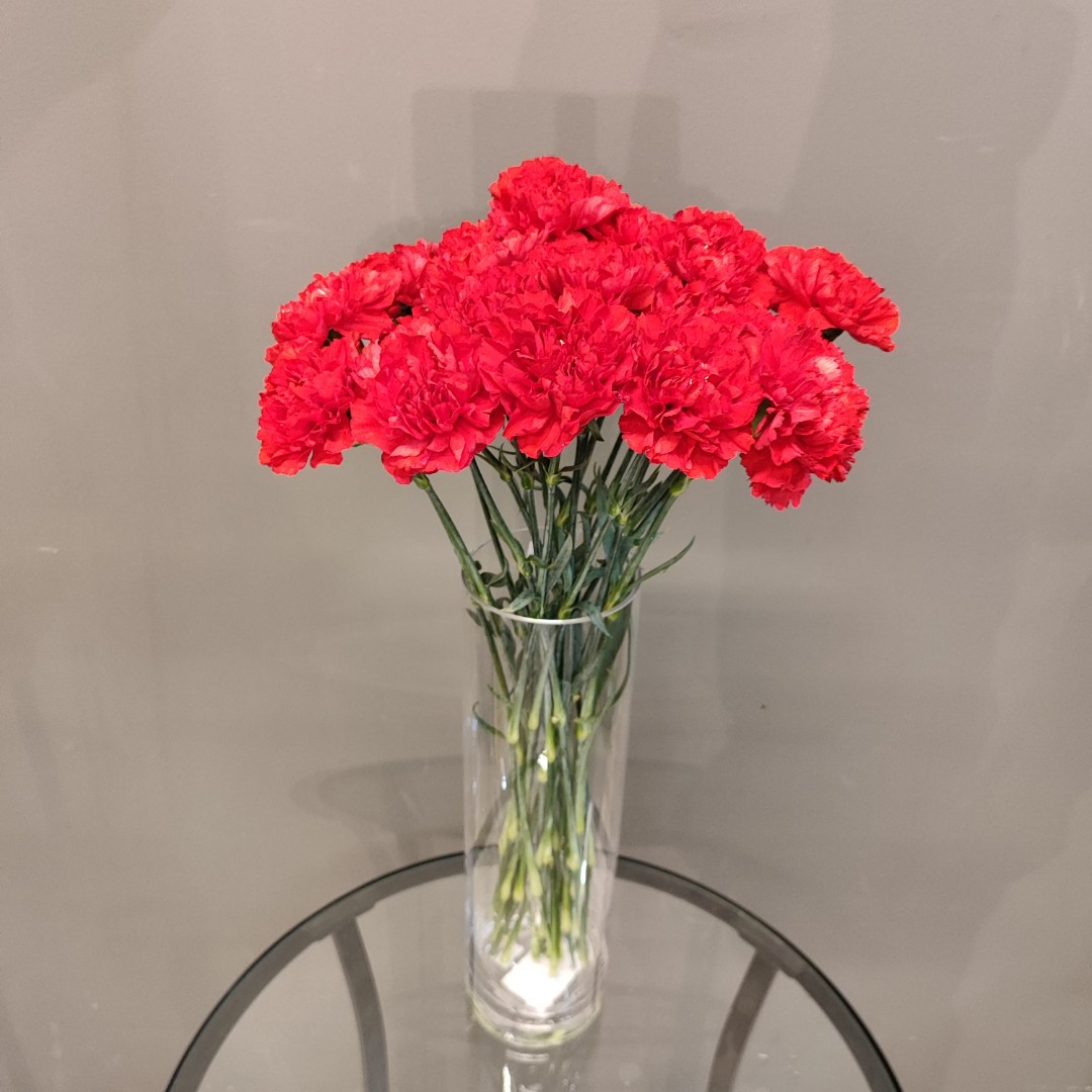 Букет  «20 красных гвоздик»