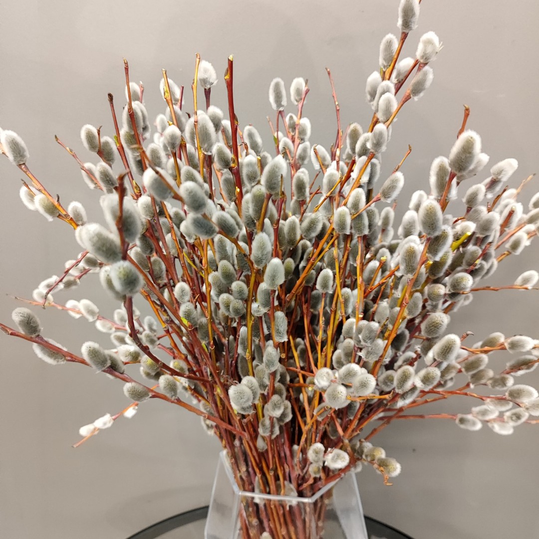 Букет «из Вербы»