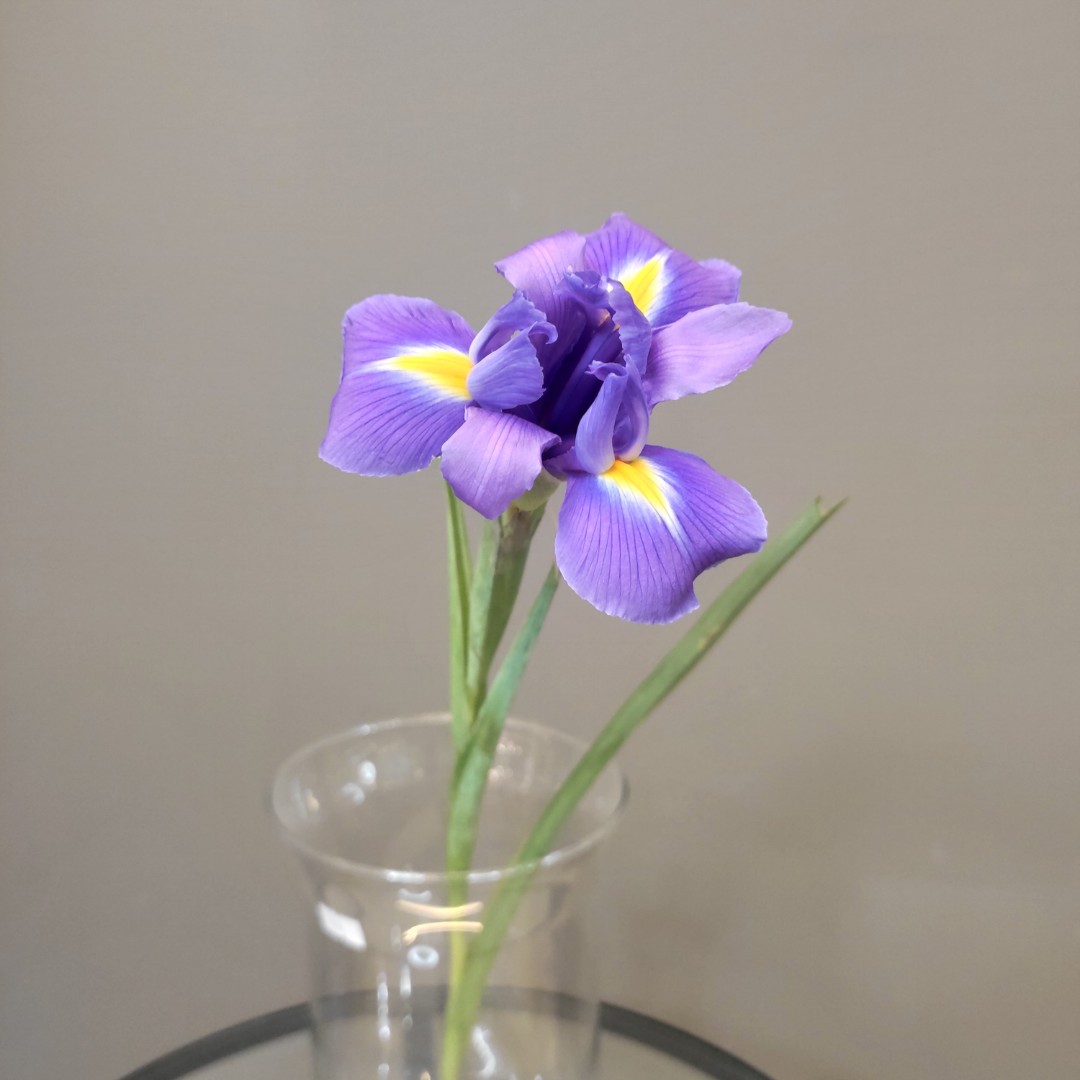 Голубой ирис