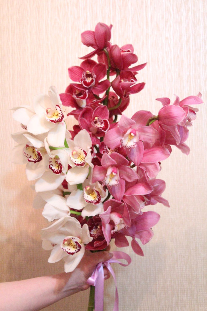 Букет «Орхидеи»