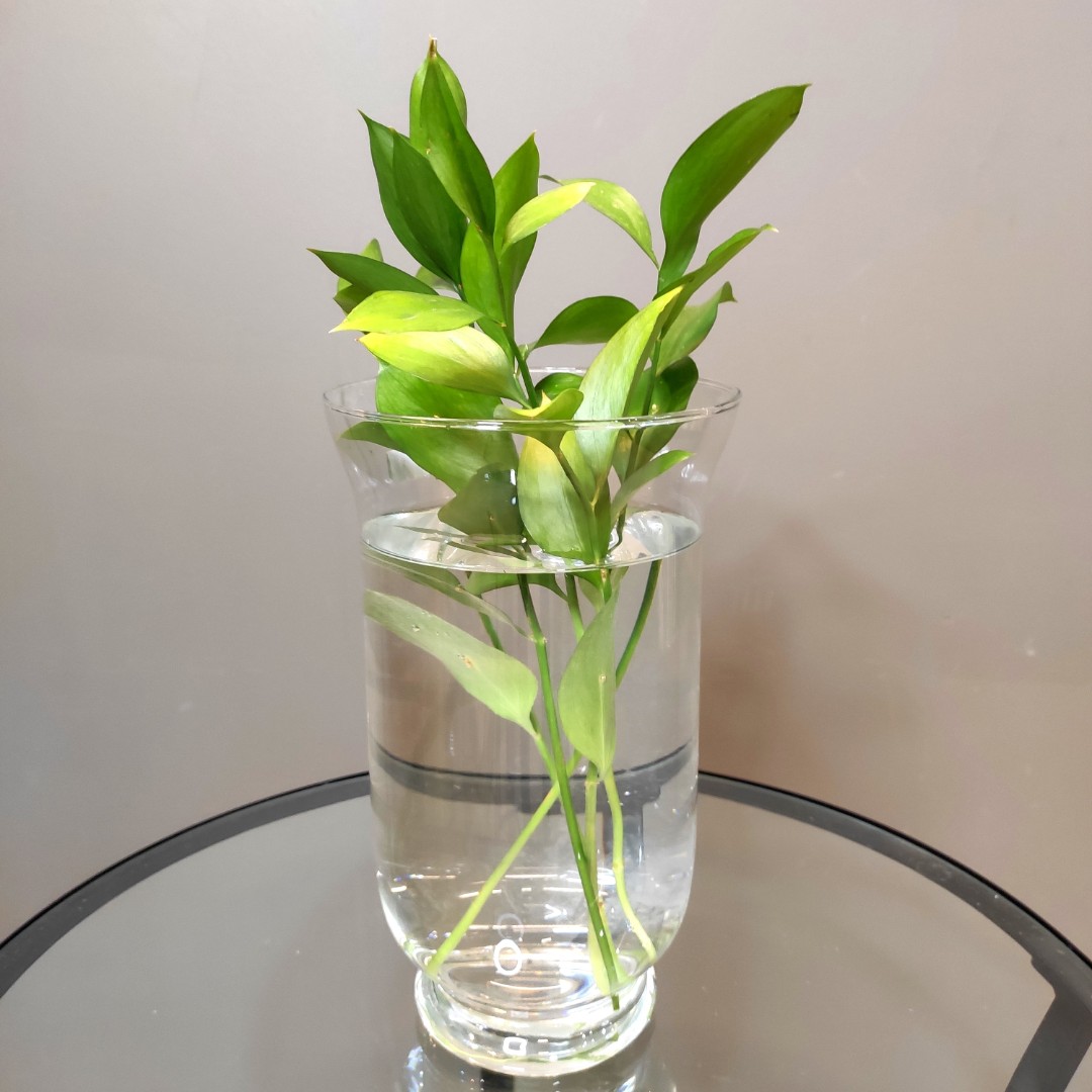 Ваза «Верда»