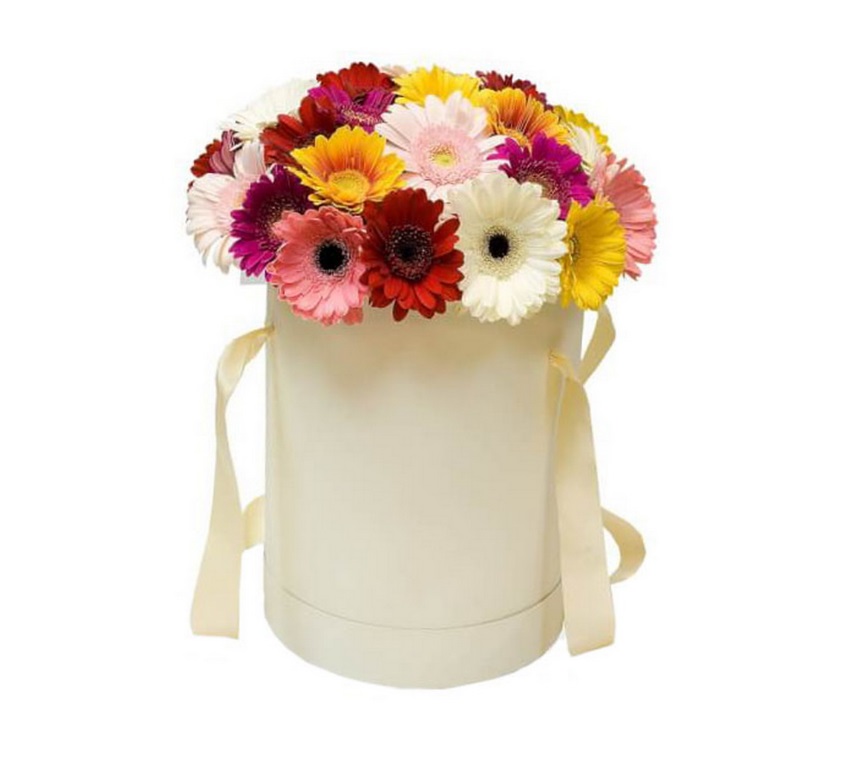 Композиция «Амстердам»