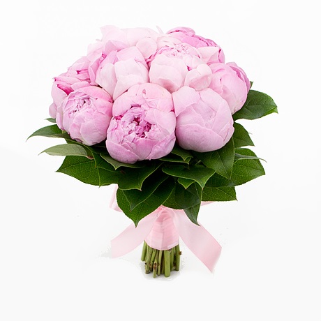 Монобукет пионов «Розовый пуддинг»