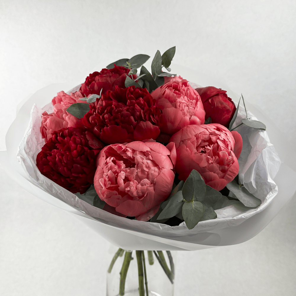 Моно из пионов «Бордо»